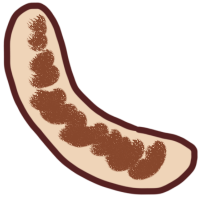 A bratwurst, drawn with brown outline.